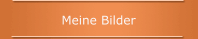 Meine Bilder 