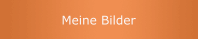Meine Bilder 